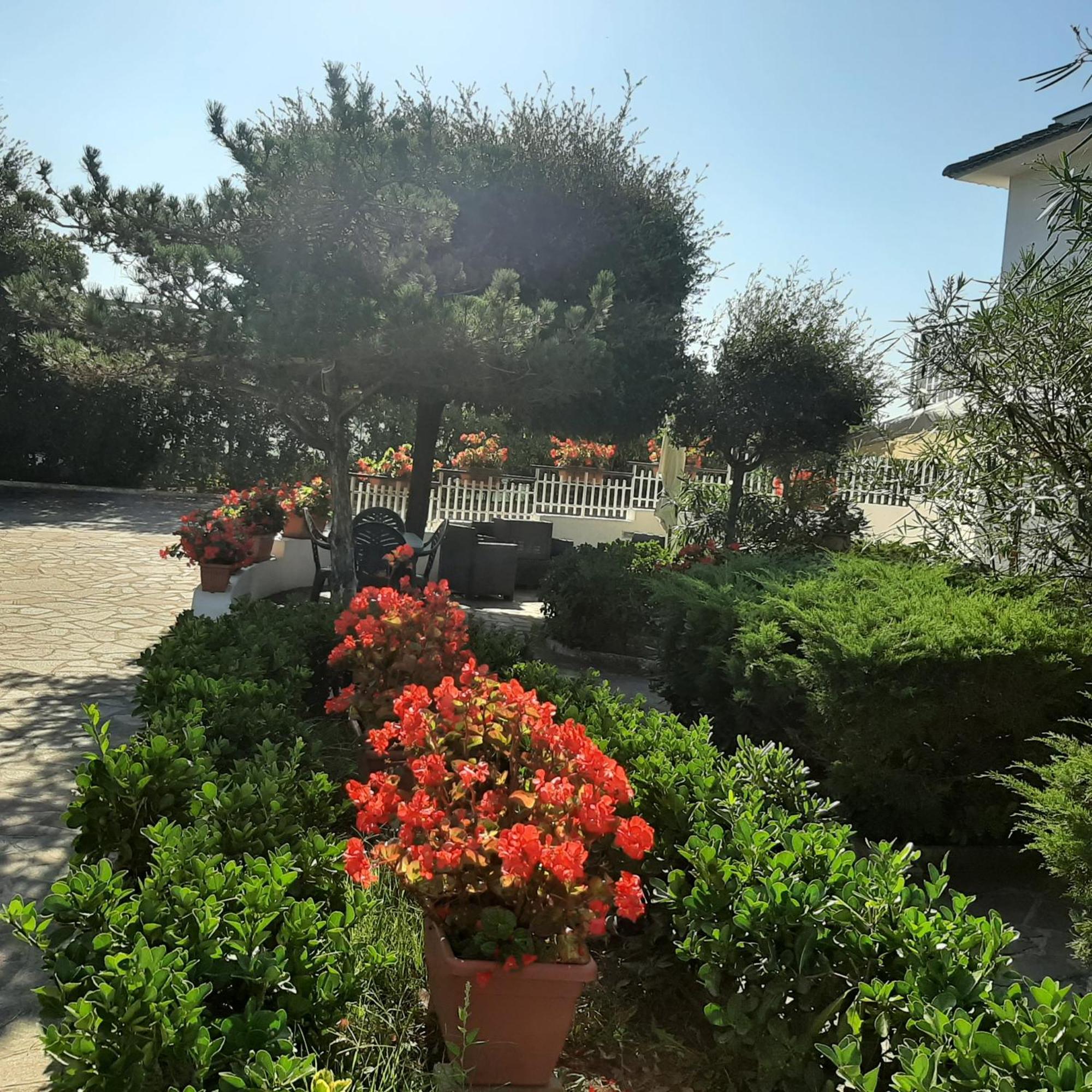 Appartamento In Villa Valentini, Fronte Mare, Giardino E Parcheggio Privato, Wifi, Dotato Di Tutti I Confort, Nel Golfo Di Gaeta Minturno Zewnętrze zdjęcie